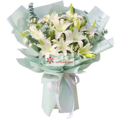 开封6支白色多头百合，温馨的祝福