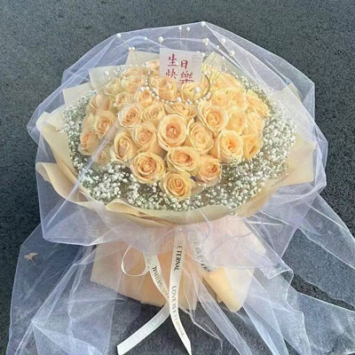 开封52朵香槟玫瑰满天星，你就是我的全部